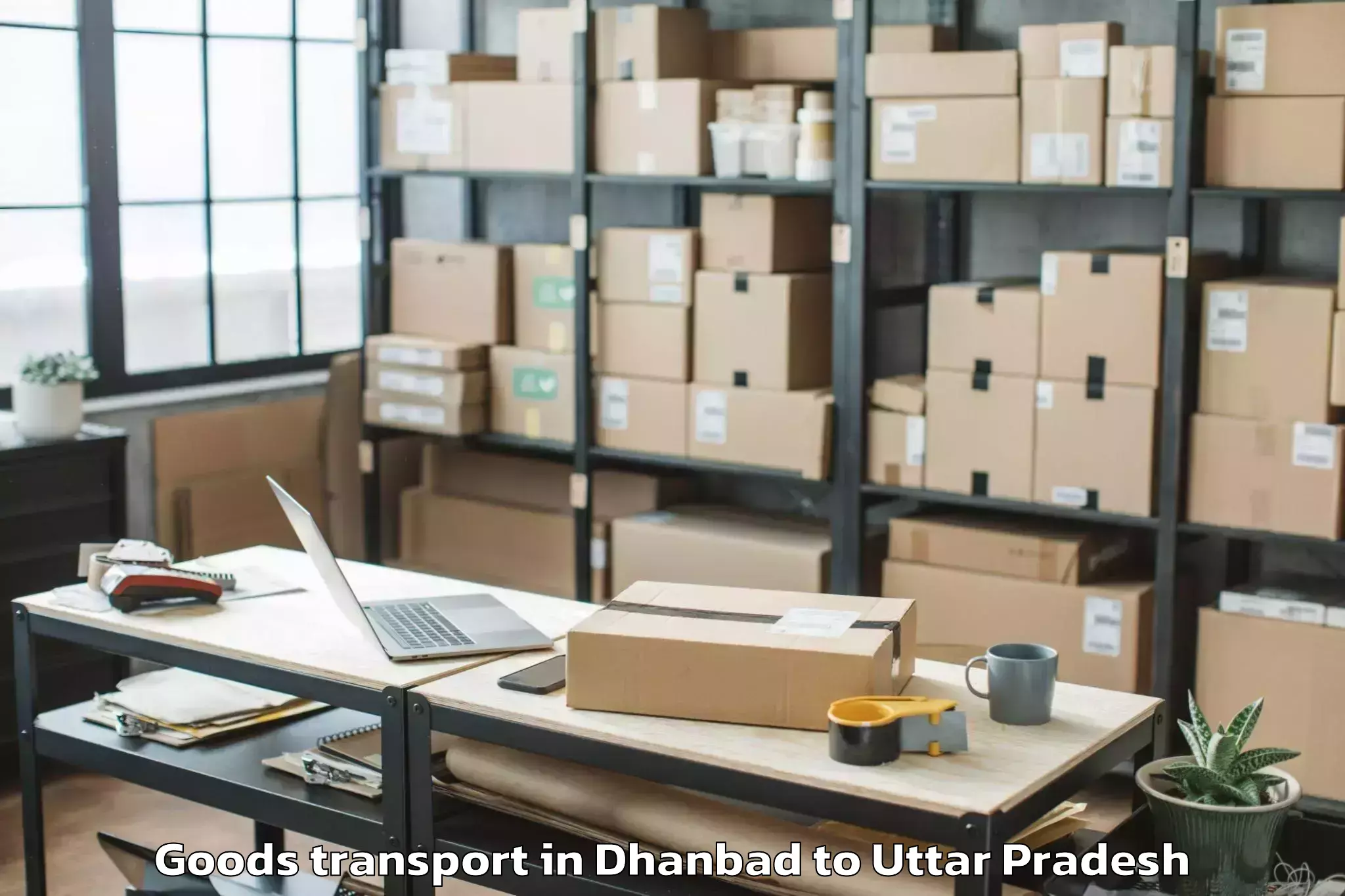 Hassle-Free Dhanbad to Siyana Goods Transport